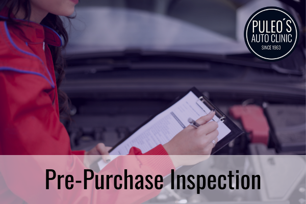 what does a multi-point inspection include
